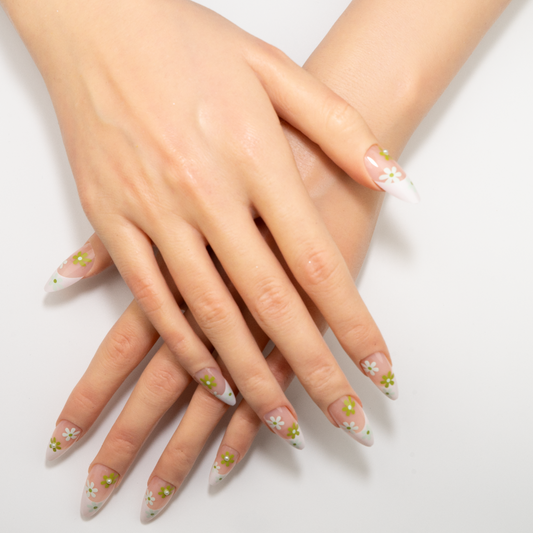Green Daisy French Spring Press-On Nails