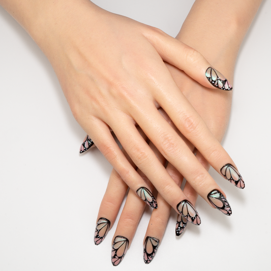Butterfly Wing Pink Black Aurora Press-On Nails