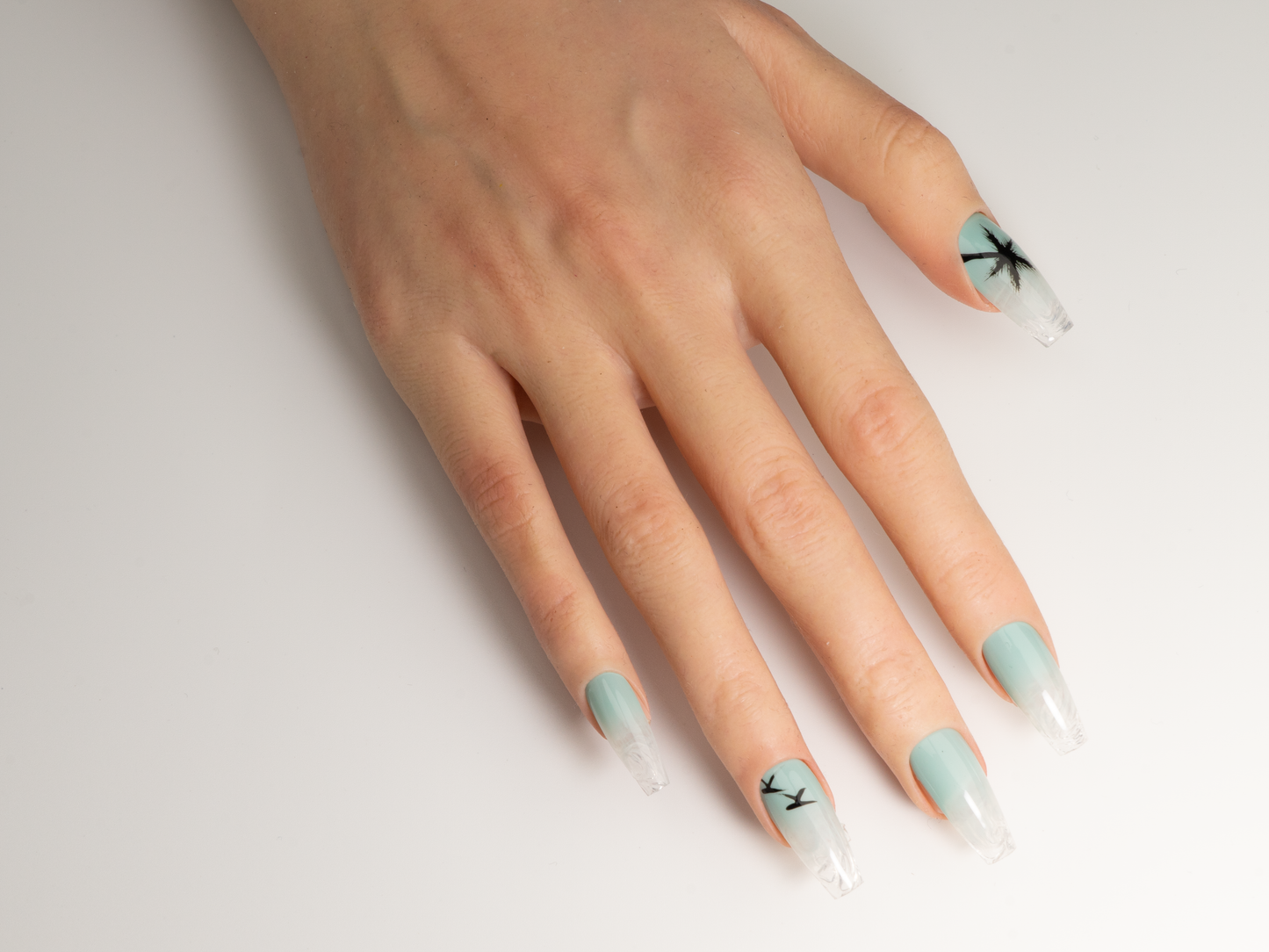 Glacier Birds Press-On Nails | Handmade Ice Crackle Ink Wash Coffin