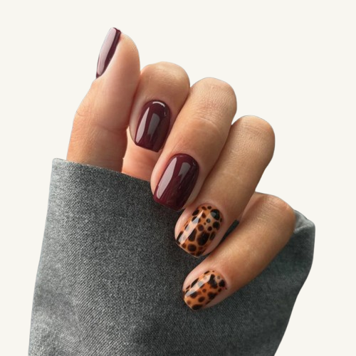 A hand wearing a set of short square press-on nails with a mix of solid burgundy and brown leopard print patterns.
